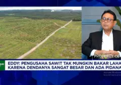 Kemarau 2023 Lumpuhkan Transportasi CPO, Pengusaha Sawit Terpaksa Cari Alternatif