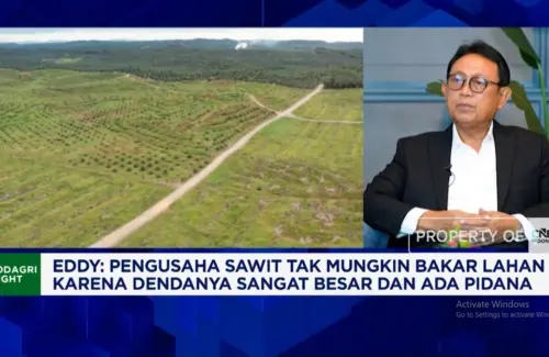 Kemarau 2023 Lumpuhkan Transportasi CPO, Pengusaha Sawit Terpaksa Cari Alternatif
